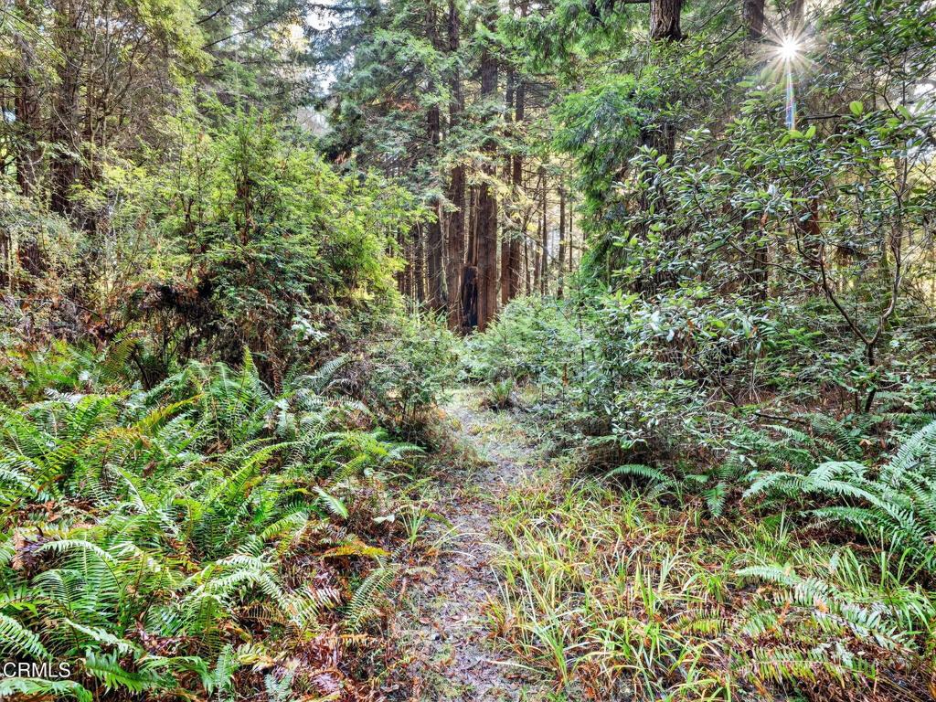 https://media.crmls.org/mediaz/fe6bbdda-0613-4bda-89bc-a92056cbdc70.jpg?preset=X-Large