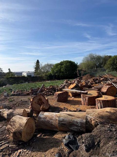 Detail Gallery Image 42 of 42 For 3536 Ybarra Rd, Spring Valley,  CA 91978 - 3 Beds | 2 Baths