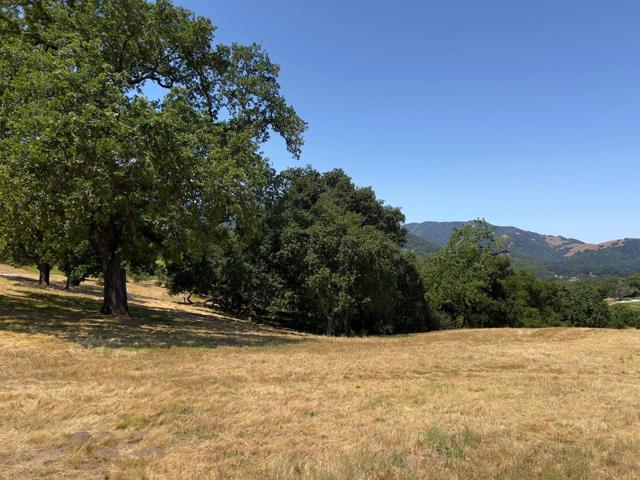 23 E Pronghorn Run, Carmel CA: https://media.crmls.org/mediaz/fe746437-363d-4996-87dd-634649c861e0.jpg