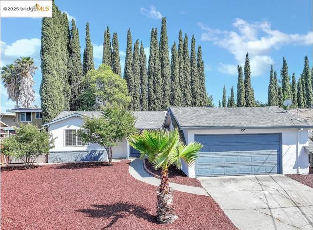 1660 Jenkinson Drive, Concord CA: https://media.crmls.org/mediaz/fe76bcef-d916-4532-83ba-0e7313e0e4e8.jpg
