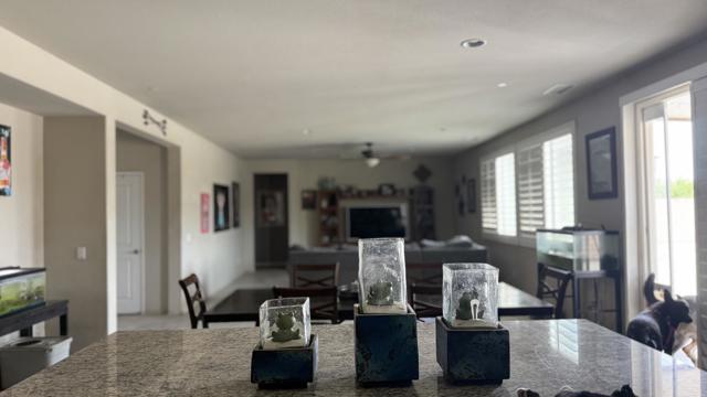 82781 Larsen Drive, Indio CA: https://media.crmls.org/mediaz/fe78871e-aeec-4f61-a592-8b4862d5eede.jpg