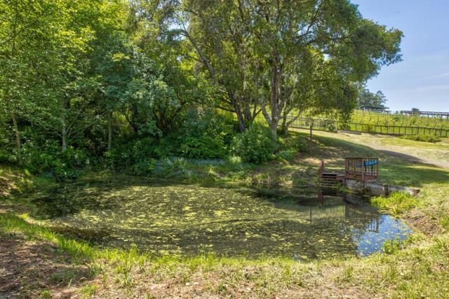 5090 La Honda Road,  CA: https://media.crmls.org/mediaz/fe8bd26b-68f6-4a82-b322-c6804f4e256a.jpg