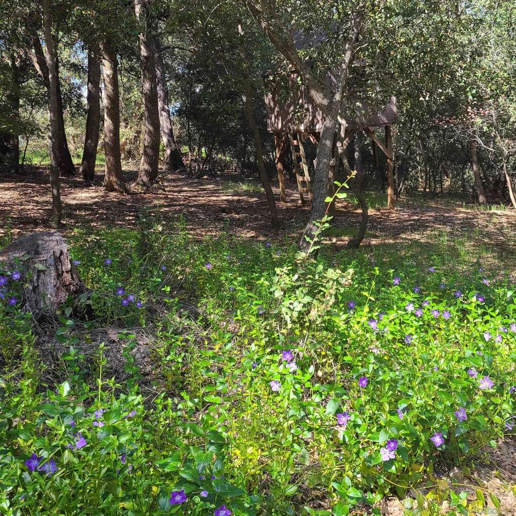 https://media.crmls.org/mediaz/fe8f3304-1953-4e07-ab58-a01f5d6e08d0.jpg?preset=X-Large
