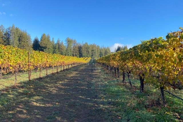 3980 Bonny Doon Road, Santa Cruz CA: https://media.crmls.org/mediaz/fe992fcb-8061-4536-a1f2-57c29168136f.jpg