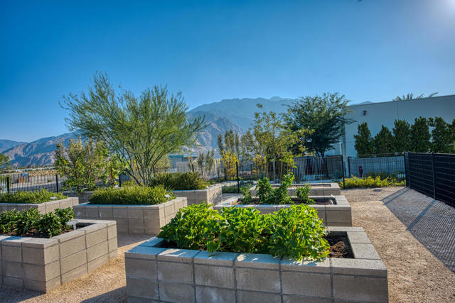 423 Fountain Drive, Palm Springs CA: https://media.crmls.org/mediaz/fea52b7e-98b3-43ab-8a09-8f4a3f67a283.jpg