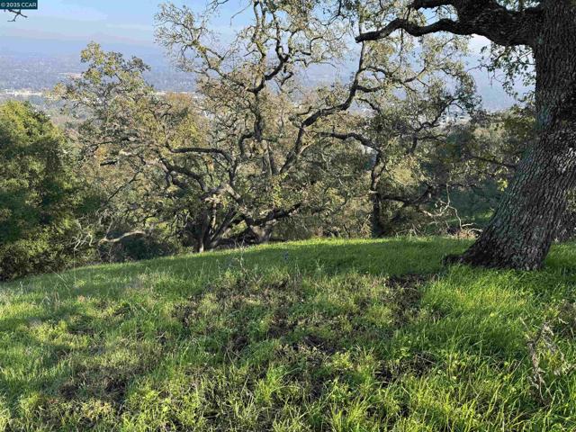 43 Cuesta way, Walnut Creek CA: https://media.crmls.org/mediaz/feab398d-c53f-4108-a61d-21f83cda5c03.jpg