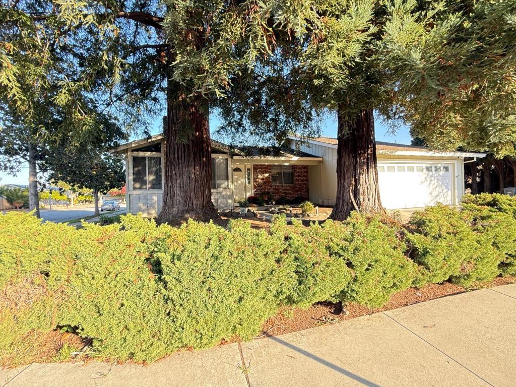 7490 Santa Theresa Drive