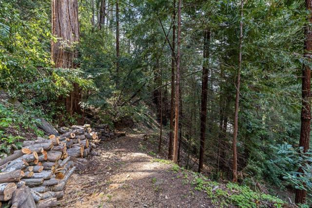 489 Northridge Drive, Scotts Valley CA: https://media.crmls.org/mediaz/febd795b-52bf-4363-b590-d14f15cfe913.jpg