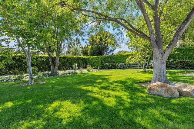 6351 Lago Lindo, Rancho Santa Fe CA: https://media.crmls.org/mediaz/fec02522-a836-4ed0-9346-a1c1fbbd8de3.jpg
