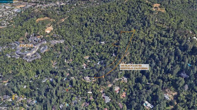 100 Black Log Rd, Kentfield CA: https://media.crmls.org/mediaz/fec028bb-1020-48af-ad09-b817b254d7ef.jpg