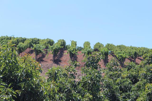 Detail Gallery Image 9 of 72 For 6150 Baja Vista Dr, Somis,  CA 93066 - 7 Beds | 5/2 Baths