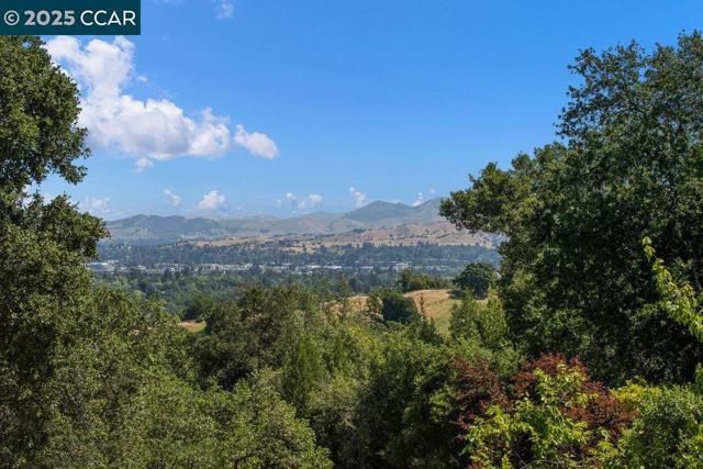 18 Diablo Oaks Way, Lafayette CA: https://media.crmls.org/mediaz/fec7cb09-098f-47d5-bddd-08af6c50ee3d.jpg