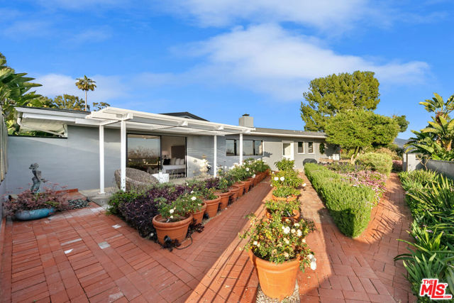 South Facing Rose Garden