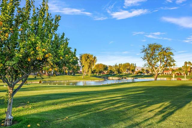 79700 Citrus Street, La Quinta CA: https://media.crmls.org/mediaz/feeb4066-e381-4b4e-83e7-2e72f1a7b5f1.jpg