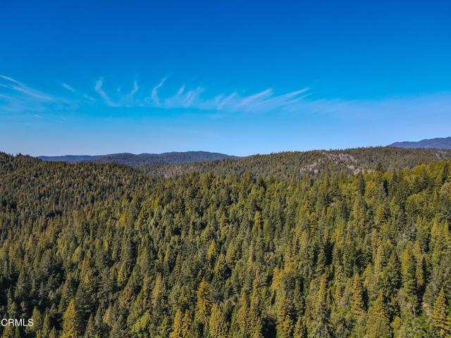 0 Irmulco Road, Willits CA: https://media.crmls.org/mediaz/feef02fb-c328-41fe-ba10-64a2e6f53e5d.jpg