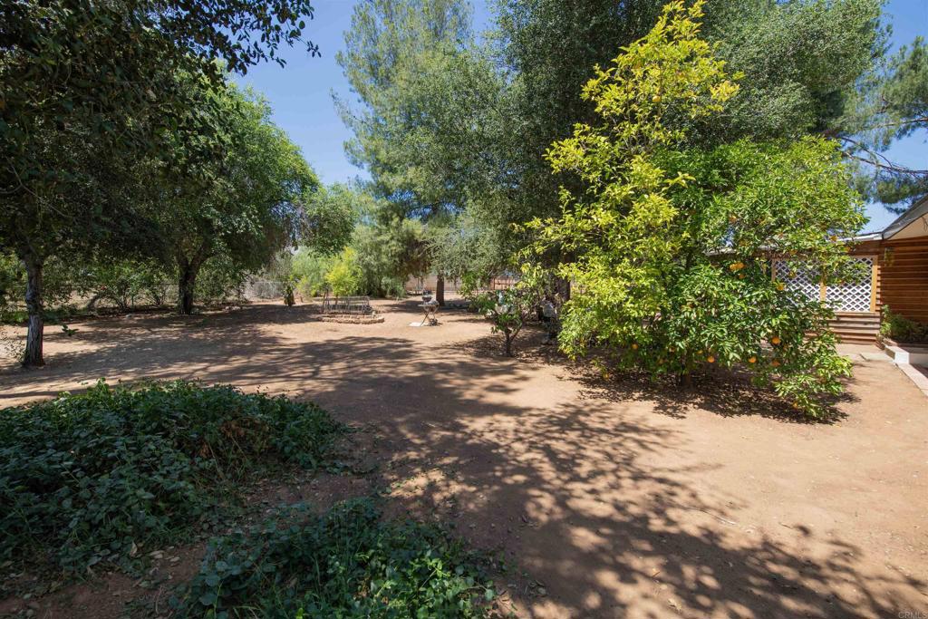 1687 Citrus - photo 16