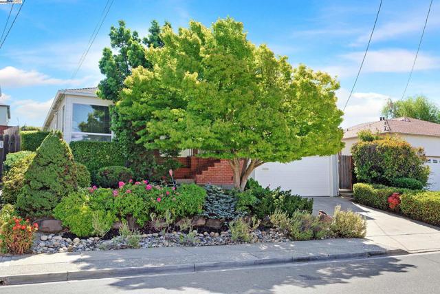 19028 Clemans Dr, Castro Valley CA: https://media.crmls.org/mediaz/fefc2aef-58b0-4bd6-8edd-fc279aebc370.jpg