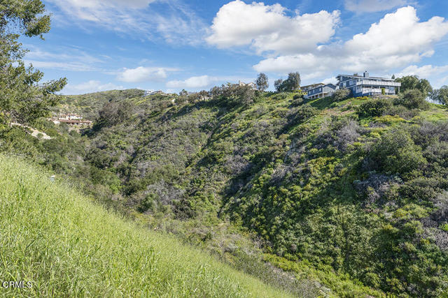 542 San Clemente Way, Camarillo CA: https://media.crmls.org/mediaz/ff0fdbf2-fcbf-4a35-b60c-6117bc7409ac.jpg