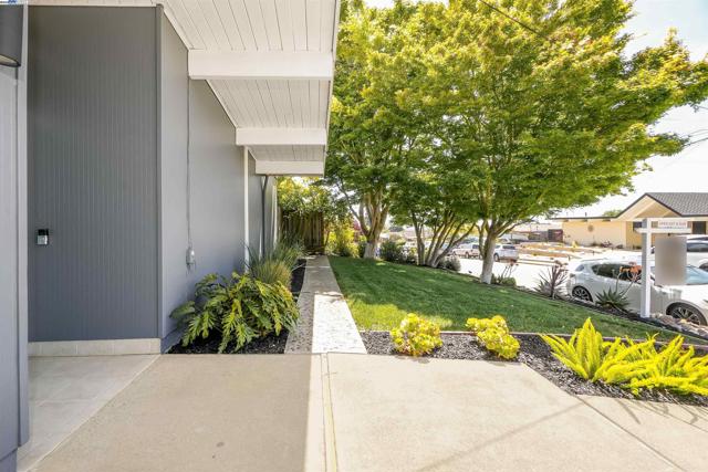 5893 Highwood Rd, Castro Valley CA: https://media.crmls.org/mediaz/ff14a1ea-d332-4da3-a94b-f030d97dbc07.jpg