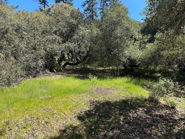 0 Hidden Glen Drive, Scotts Valley CA: https://media.crmls.org/mediaz/ff1dad42-10a7-4a53-8147-957e3fbe7ae3.jpg