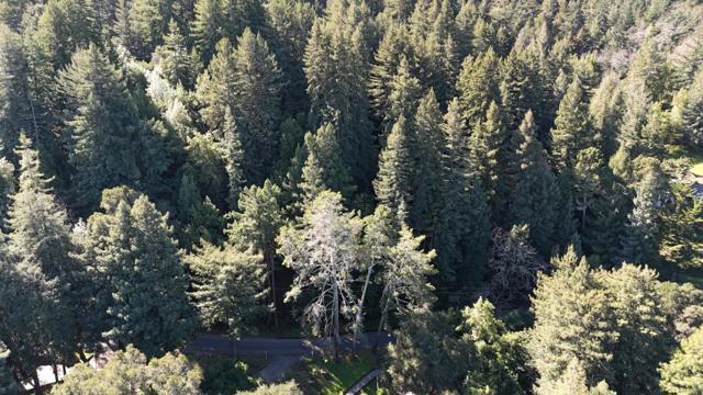 559 Patrol Road, Woodside CA: https://media.crmls.org/mediaz/ff257d4b-f745-4c4d-9d8b-06337bff1b53.jpg