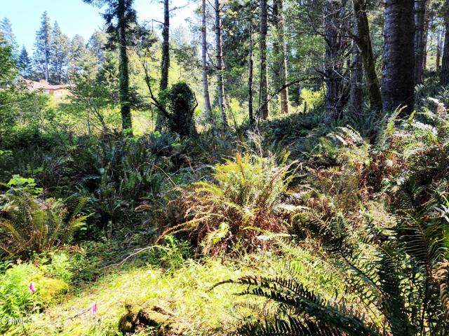 Detail Gallery Image 13 of 23 For 44551 Raven Ln, Mendocino,  CA 95460 - – Beds | – Baths