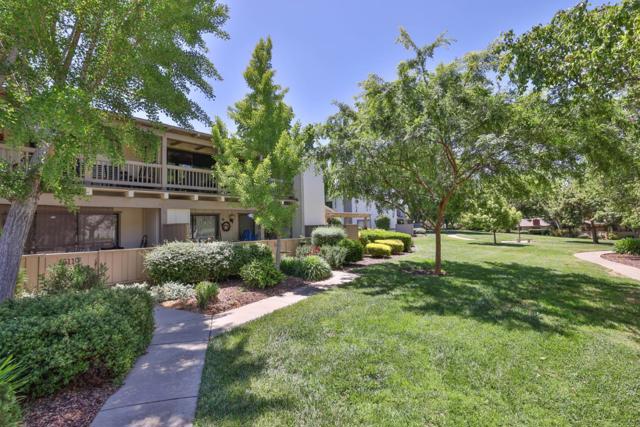 5111 Cribari Place, San Jose CA: https://media.crmls.org/mediaz/ff2a0e06-4040-454b-ada8-d676534b70de.jpg
