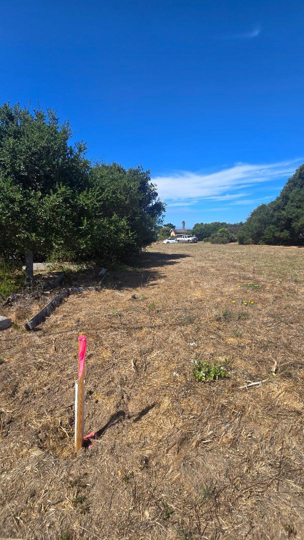 145 Lindero, La Selva Beach CA: https://media.crmls.org/mediaz/ff2b6604-16a1-4bd3-a2fc-c5dfa231639d.jpg