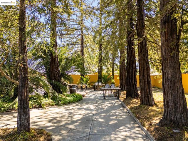 75 Fremont Dr., Sonoma CA: https://media.crmls.org/mediaz/ff3f04c3-b53c-4dd3-a4cf-6c14e623dcb8.jpg