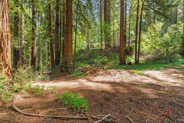 0 Grove Street, Los Gatos CA: https://media.crmls.org/mediaz/ff4047ca-b1c6-42cb-aca6-8027d7126c58.jpg