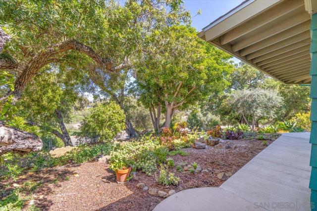 1131 Vale Terrace Dr, Vista CA: https://media.crmls.org/mediaz/ff44a0d5-e3c8-44bc-9ef8-28b37fd6479c.jpg