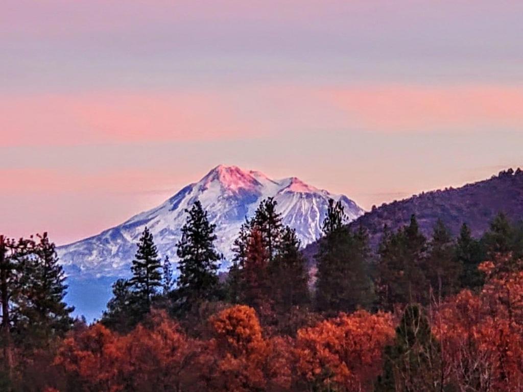 https://media.crmls.org/mediaz/ff57eaf9-f318-4f8f-a130-8b9bff12ddd3.jpg?preset=X-Large