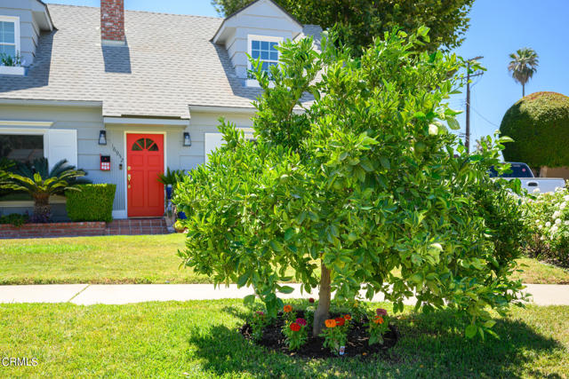 Detail Gallery Image 61 of 75 For 16952 Liggett St, Northridge,  CA 91343 - 4 Beds | 2 Baths