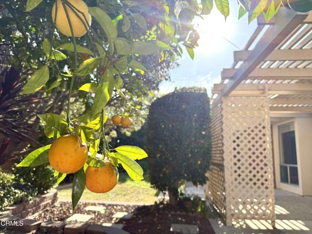 3 Bed Home for Sale in Ventura, California