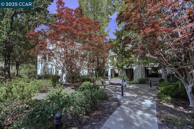 5920 Horsemans Canyon Dr, Walnut Creek CA: https://media.crmls.org/mediaz/ff64e9a4-adc5-4283-991b-377f3183de1c.jpg