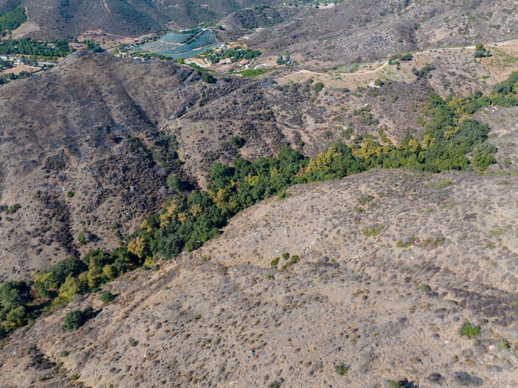 MLS #250022588SD img 9