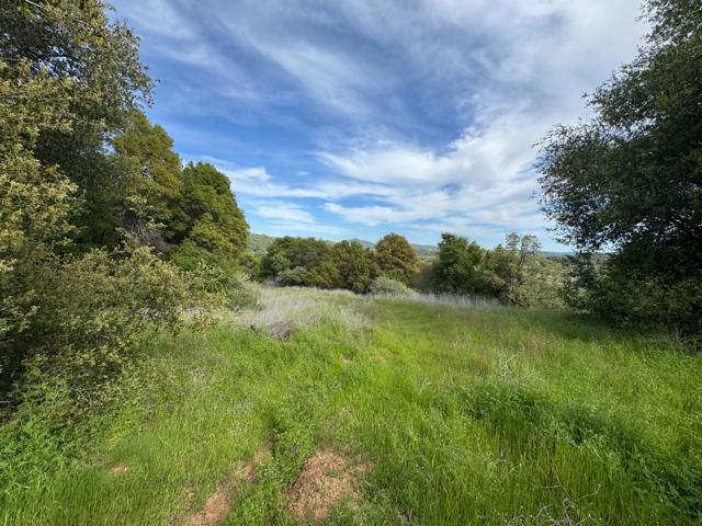 0 Cabezut Road, Sonora CA: https://media.crmls.org/mediaz/ff77e9d7-e5e2-415f-ac3e-4e71f0887612.jpg