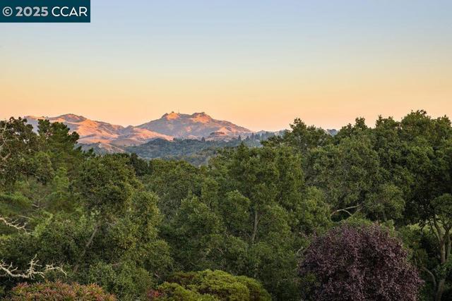 1177 Estates Dr, Lafayette CA: https://media.crmls.org/mediaz/ff78e1b3-7ac1-44cb-8f78-38ed52a63a1c.jpg