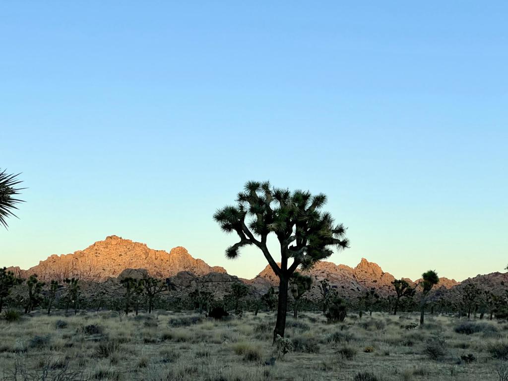 https://media.crmls.org/mediaz/ff79c3ed-8897-4635-a724-ceb5ee786110.jpg?preset=X-Large