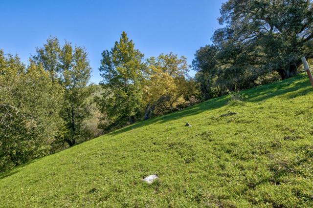 0 Bella Madeira Lane, San Jose CA: https://media.crmls.org/mediaz/ff8603b7-ef55-4e87-b13a-4134b8edf4e6.jpg