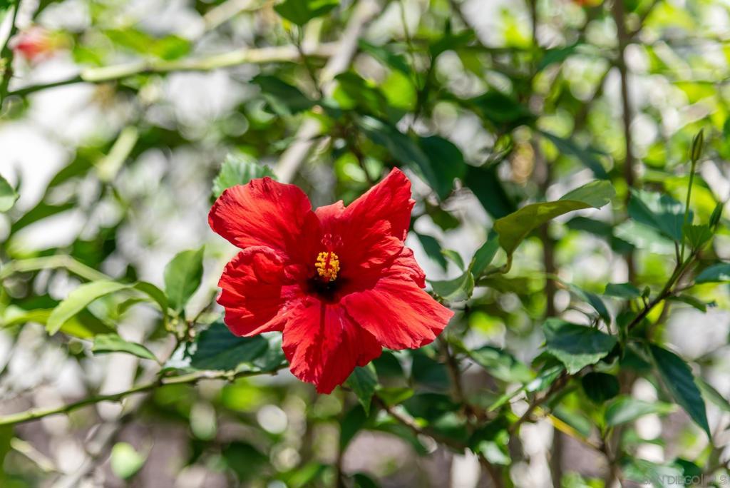 https://media.crmls.org/mediaz/ff8decf3-38ae-4a13-9bf1-4b640aecf781.jpg?preset=X-Large
