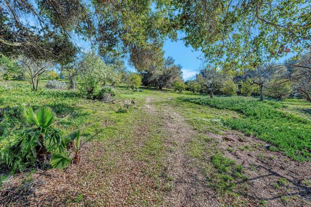 1761 Winterwarm Dr, Fallbrook CA: https://media.crmls.org/mediaz/ff94c0a1-a22e-4f89-9c25-850616491464.jpg