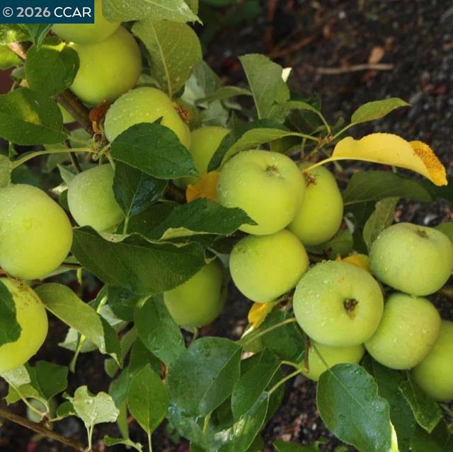 Image 51 of 60 For 34 Elmwood Dr