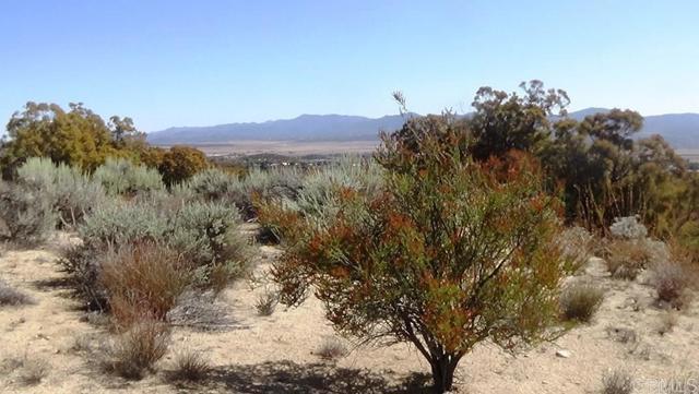 Detail Gallery Image 23 of 41 For 37245 Old Forest Rd, Anza,  CA 92539 - – Beds | – Baths