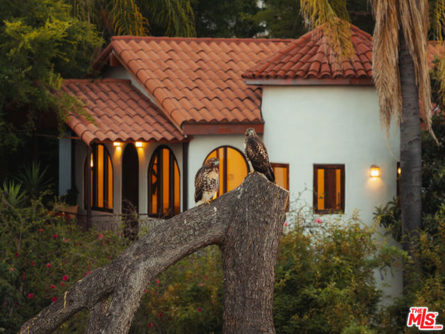 4559 E Rose Hill Drive, Los Angeles CA: https://media.crmls.org/mediaz/ffa5d38c-04b1-4df2-bc15-a9e4abe5de05.jpg