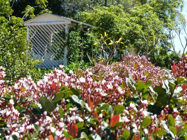 4744 Resmar Rd, La Mesa CA: https://media.crmls.org/mediaz/ffb4783d-2509-4dde-bf7c-be602f118b6d.jpg