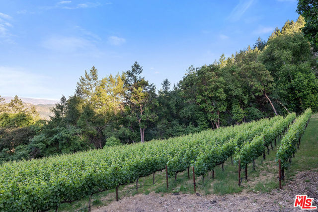 351 Wall Road, Napa CA: https://media.crmls.org/mediaz/ffbb2345-76b2-4dcd-932b-7ebac4d78df7.jpg