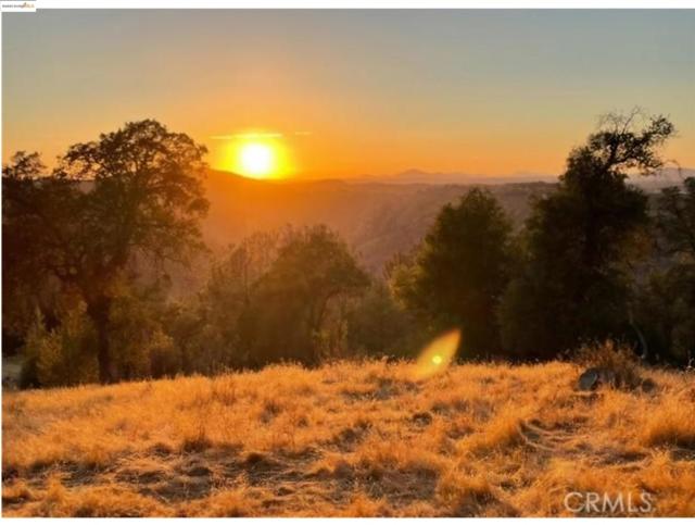 16551 Wards Ferry Rd, Sonora CA: https://media.crmls.org/mediaz/ffbfafe1-57fc-418a-aca5-725e3c40ea92.jpg