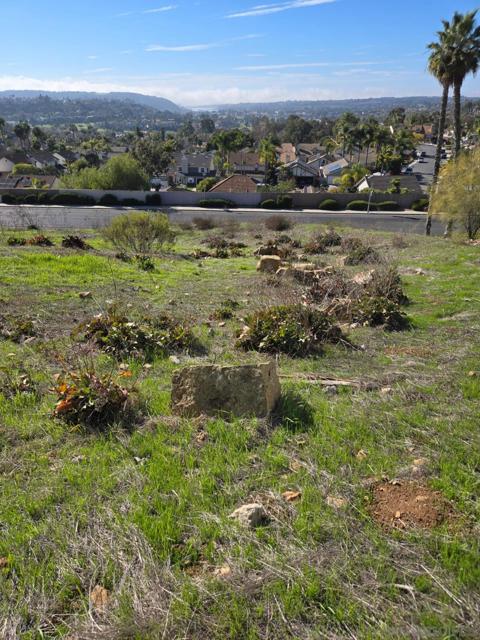 Image 7 of 12 For 0 Cadencia St. Between 7402-7412