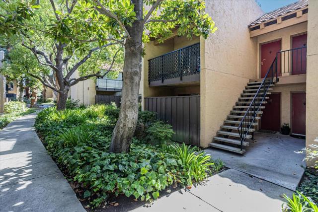 259 N Capitol Avenue, San Jose CA: https://media.crmls.org/mediaz/ffc8a7cc-3b09-4e36-88f3-cfc04a26618c.jpg